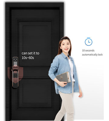 Dual Biometric Induction Alarm Automatic Face Recognition Door Locks