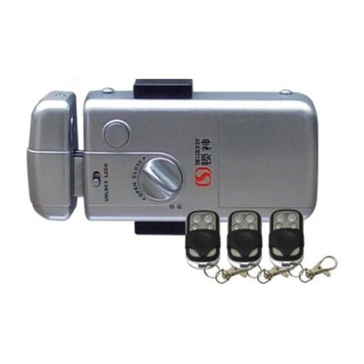 Hidden Anti Theft Remote Control Electric Invisible Rim Door Locks