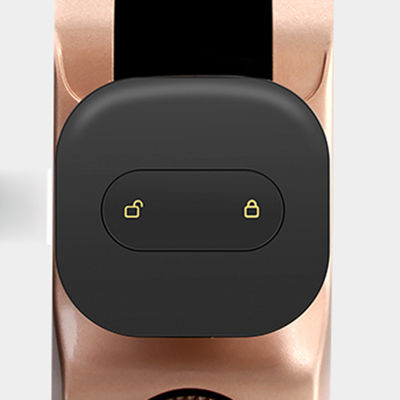 Tuya App Wifi Face Recognition Smart Fingerprint Automatic Front Door Locks