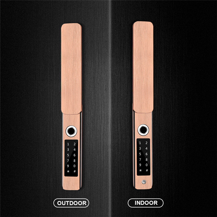 Automatic Double Sided Aluminum Art Door Waterproof Smart Locks