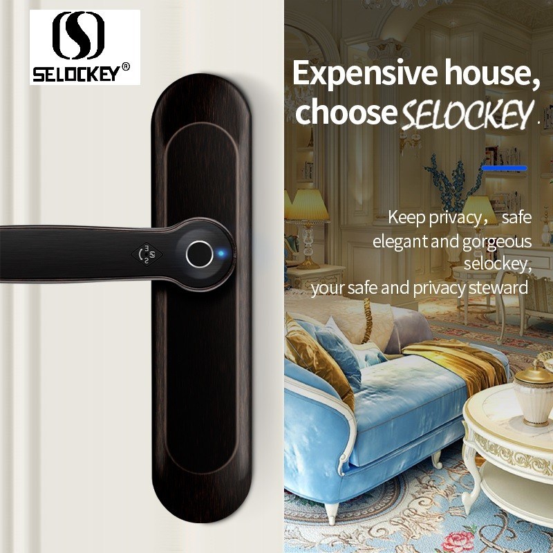 No Drilling Hole Household Fingerprint Zinc Alloy Smart Door Locks