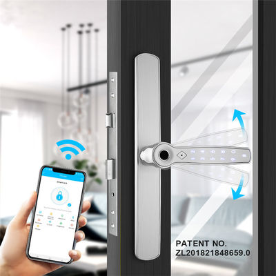WIFI Anti Theft Dual Side Intelligent Fingerprint Door Locks